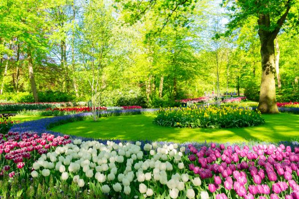 Flower Landscaping in Sebring