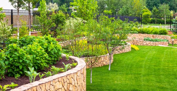 Yard Makeover Service in Sebring