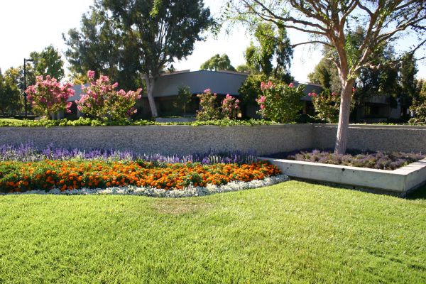 Commercial Landscape Service in Sebring