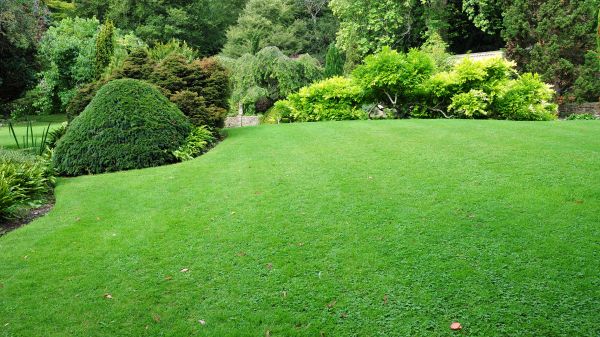 Commercial Landscape Design in Sebring