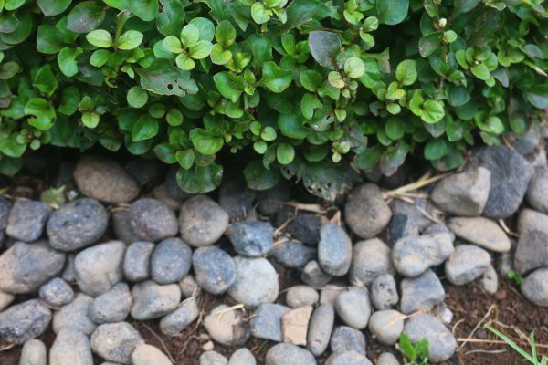 River Stone Installation in Sebring
