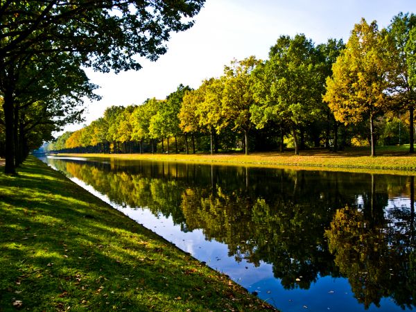 Bank Landscaping in Sebring