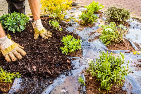 Mulch Fabric Installation in Sebring