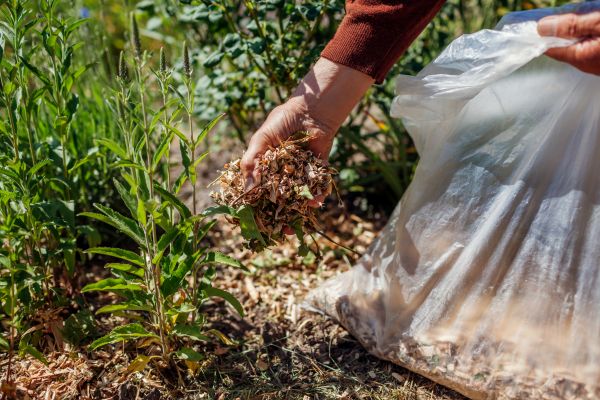 Wood Mulch Installation in Sebring