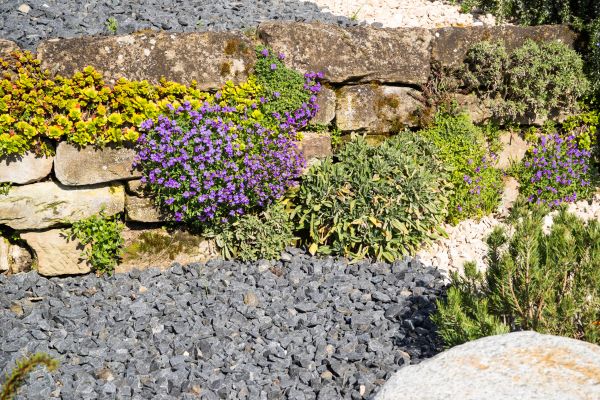 Landscaping Rocks Installation in Sebring