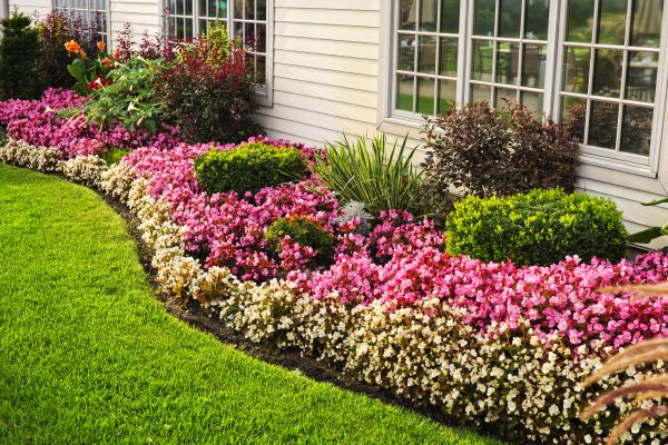 Garden Landscape Design in Sebring