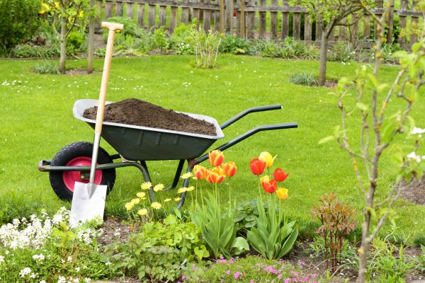 Spring Yard Renovation in Sebring