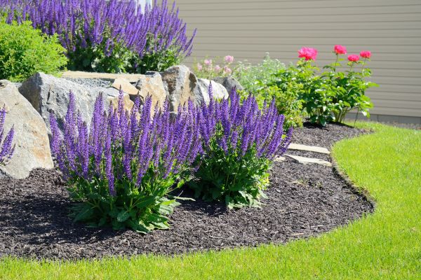 Landscape Planting Service in Sebring