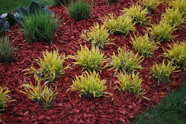Red Mulch Installation in Sebring