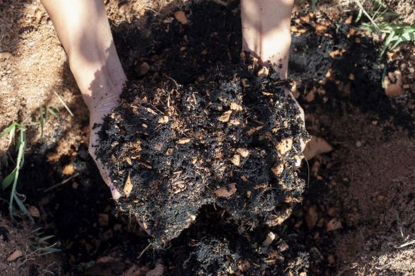 Organic Mulch Installation in Sebring