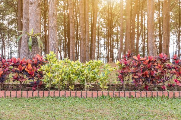 Small Garden Landscaping in Sebring