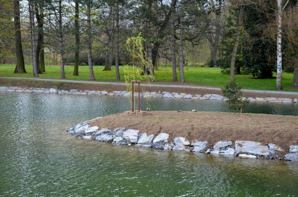 Pond Landscaping Service in Sebring