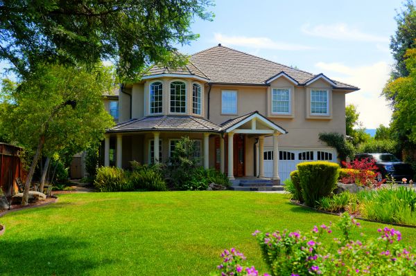 Large Yard Landscaping in Sebring