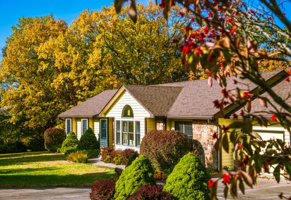 Ranch Landscaping in Sebring