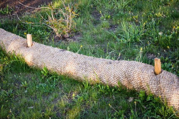 Wattle Installation in Sebring