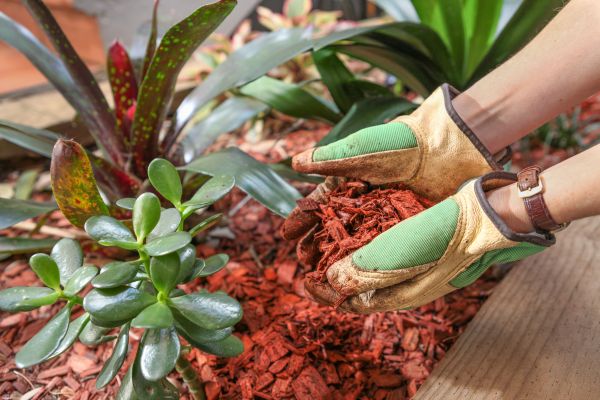 Cedar Mulch Installation in Sebring