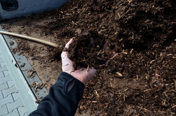 Condo Mulching in Sebring