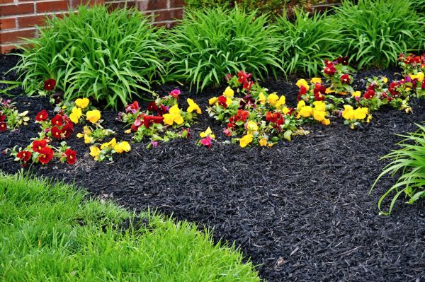 Apartment Mulching in Sebring