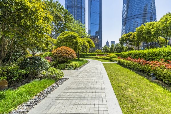 Commercial Landscaping in Sebring