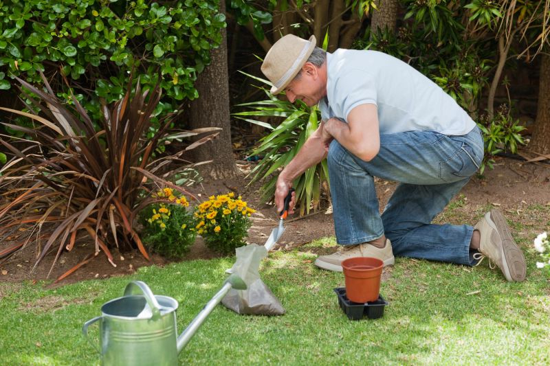 Ground Cover Planting